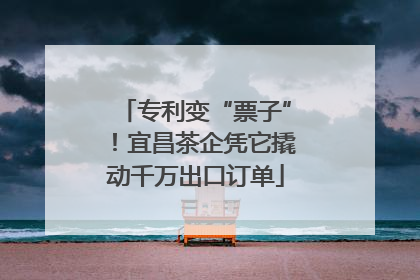 专利变“票子”！宜昌茶企凭它撬动千万出口订单