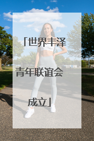 世界丰泽青年联谊会成立