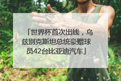 世界杯首次出线，乌兹别克斯坦总统豪赠球员42台比亚迪汽车