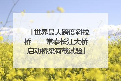 世界最大跨度斜拉桥——常泰长江大桥启动桥梁荷载试验