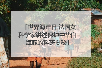 世界海洋日 法国女科学家讲述保护中华白海豚的科研奥秘