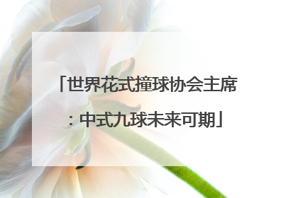 世界花式撞球协会主席：中式九球未来可期