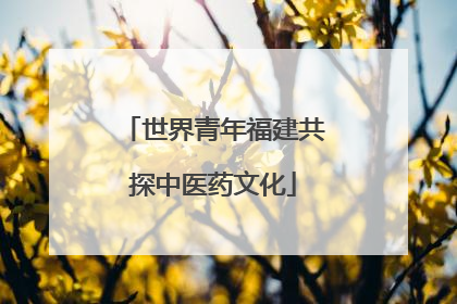 世界青年福建共探中医药文化