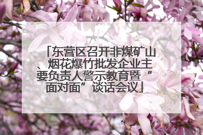 东营区召开非煤矿山、烟花爆竹批发企业主要负责人警示教育暨“面对面”谈话会议