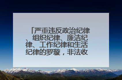 严重违反政治纪律、组织纪律、廉洁纪律、工作纪律和生活纪律的罗璇，非法收受他人巨额财物