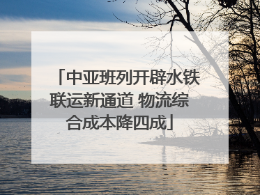 中亚班列开辟水铁联运新通道 物流综合成本降四成