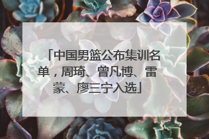 中国男篮公布集训名单，周琦、曾凡博、雷蒙、廖三宁入选