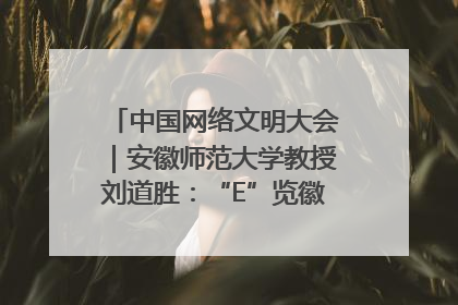 中国网络文明大会｜安徽师范大学教授刘道胜：“E”览徽风，构筑中华民族共有精神家园