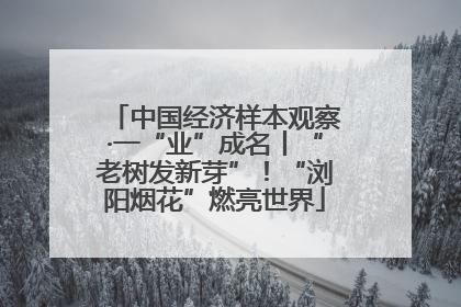中国经济样本观察·一“业”成名丨“老树发新芽”！“浏阳烟花”燃亮世界