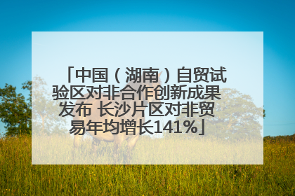 中国（湖南）自贸试验区对非合作创新成果发布 长沙片区对非贸易年均增长141%