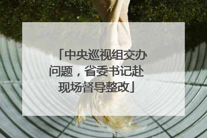 中央巡视组交办问题，省委书记赴现场督导整改