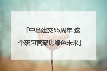 中意建交55周年 这个研习营聚焦绿色未来