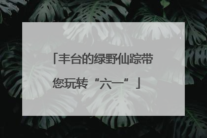 丰台的绿野仙踪带您玩转“六一”