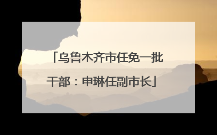 乌鲁木齐市任免一批干部：申琳任副市长