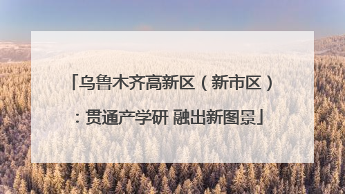 乌鲁木齐高新区（新市区）：贯通产学研 融出新图景
