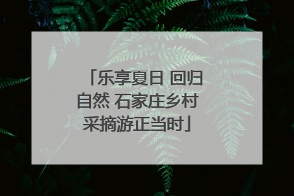乐享夏日 回归自然 石家庄乡村采摘游正当时