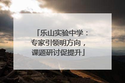 乐山实验中学：专家引领明方向，课题研讨促提升