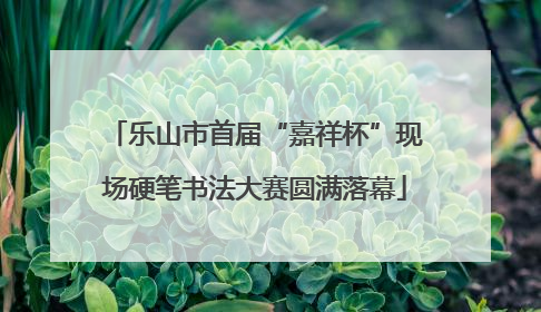 乐山市首届“嘉祥杯”现场硬笔书法大赛圆满落幕
