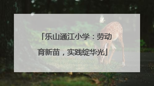 乐山通江小学：劳动育新苗，实践绽华光