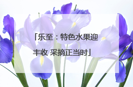 乐至：特色水果迎丰收 采摘正当时
