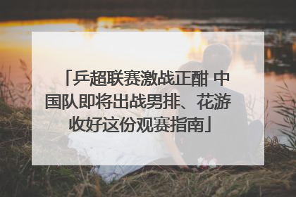 乒超联赛激战正酣 中国队即将出战男排、花游 收好这份观赛指南