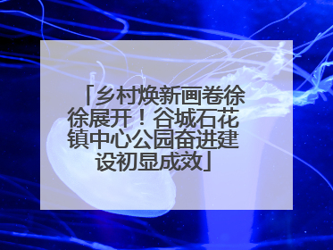 乡村焕新画卷徐徐展开！谷城石花镇中心公园奋进建设初显成效