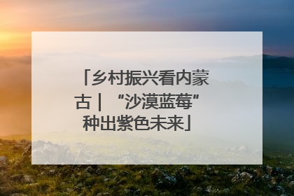 乡村振兴看内蒙古｜“沙漠蓝莓”种出紫色未来