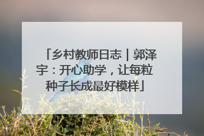 乡村教师日志｜郭泽宇：开心助学，让每粒种子长成最好模样