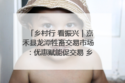 乡村行 看振兴｜嘉禾县龙潭牲畜交易市场：优惠赋能促交易 乡村振兴添动能
