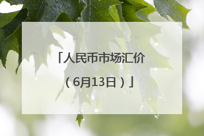 人民币市场汇价（6月13日）