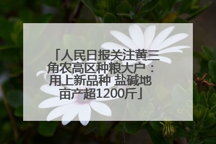 人民日报关注黄三角农高区种粮大户：用上新品种 盐碱地亩产超1200斤