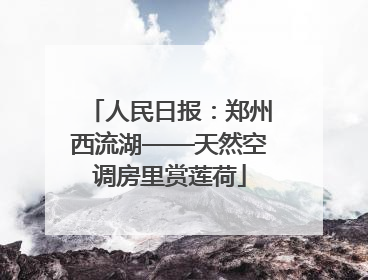 人民日报：郑州西流湖——天然空调房里赏莲荷