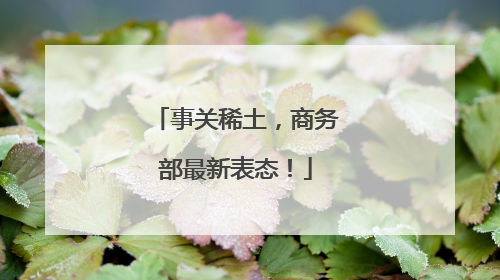 事关稀土，商务部最新表态！
