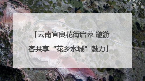 云南宜良花街启幕 邀游客共享“花乡水城”魅力