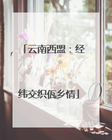 云南西盟：经纬交织佤乡情