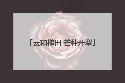 云和梯田 芒种开犁