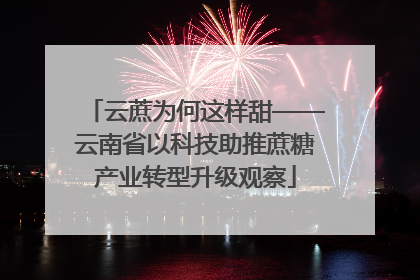 云蔗为何这样甜——云南省以科技助推蔗糖产业转型升级观察