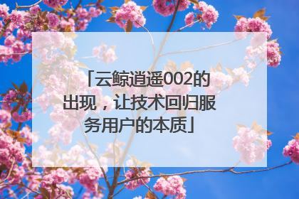 云鲸逍遥002的出现，让技术回归服务用户的本质