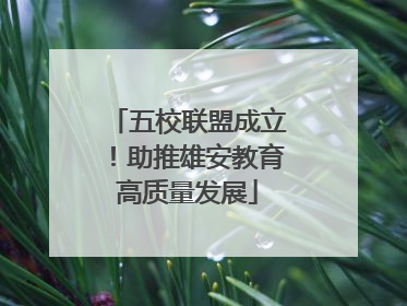 五校联盟成立！助推雄安教育高质量发展