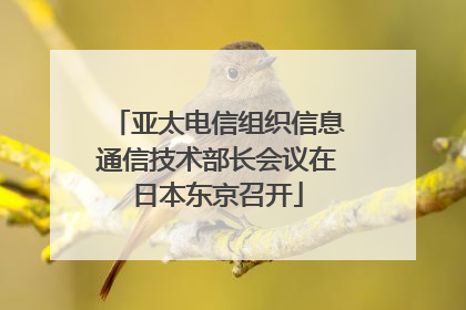 亚太电信组织信息通信技术部长会议在日本东京召开