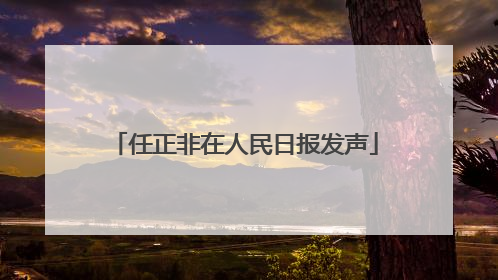 任正非在人民日报发声