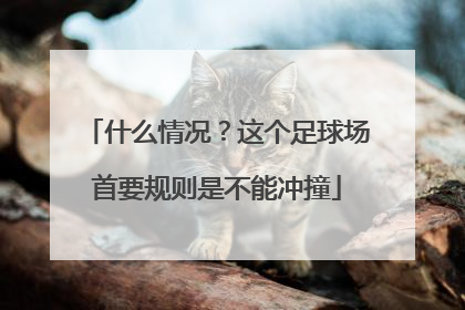 什么情况？这个足球场首要规则是不能冲撞