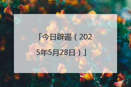今日辟谣（2025年5月28日）