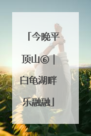 今晚平顶山⑥｜白龟湖畔乐融融