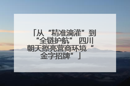 从“精准滴灌”到“全链护航” 四川朝天擦亮营商环境“金字招牌”