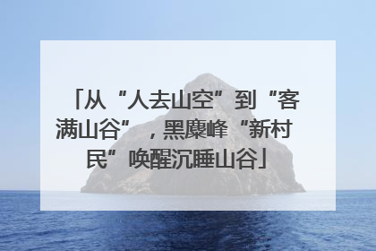 从“人去山空”到“客满山谷”，黑麋峰“新村民”唤醒沉睡山谷