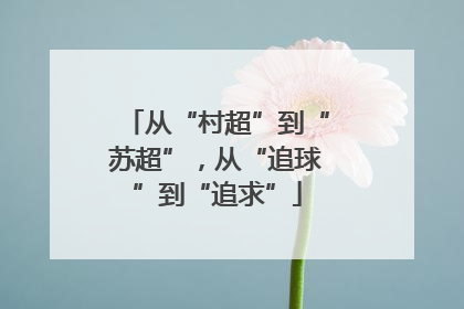 从“村超”到“苏超”，从“追球”到“追求”