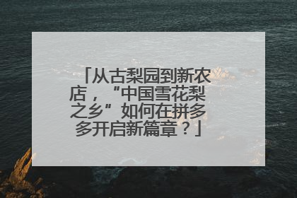 从古梨园到新农店，“中国雪花梨之乡”如何在拼多多开启新篇章？