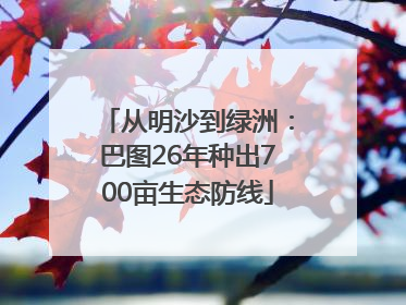 从明沙到绿洲：巴图26年种出700亩生态防线