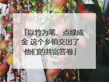 以竹为笔、点绿成金 这个乡镇交出了他们的共富答卷